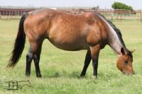 Limited Moonette -RIP sweet mama