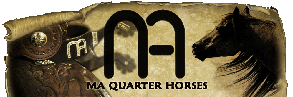 Quarter Horses For Sale Working Ranch Horses Texas Ma Quarter Horses